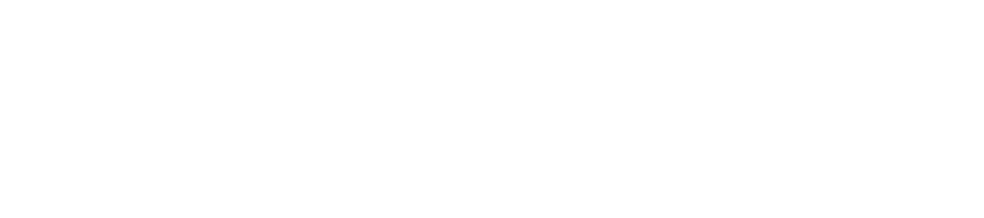 ProSetter